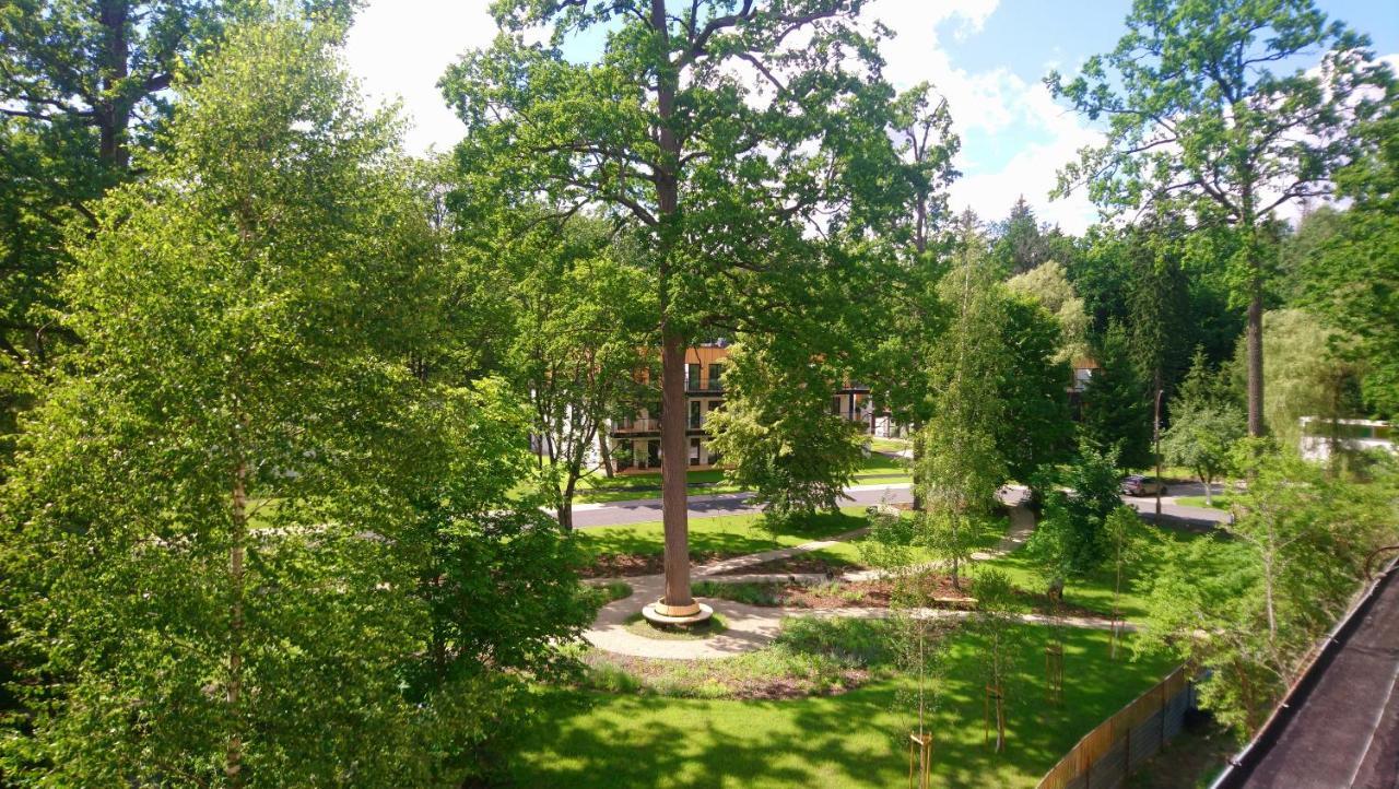 Enklawa Bialowieska Forest & Spa Hajnówka Exterior foto
